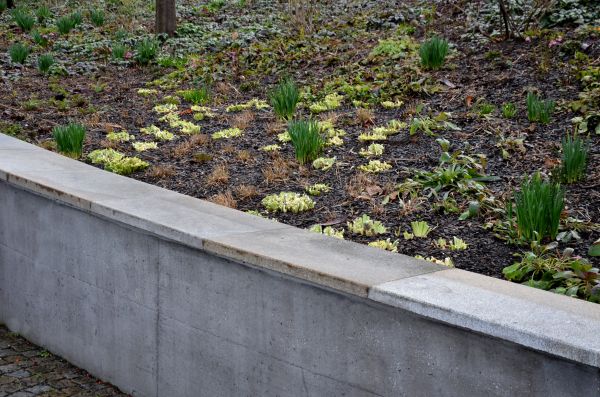 Concrete Wall Construction in Salem