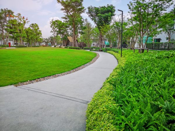 Cement Walkway Service in Salem